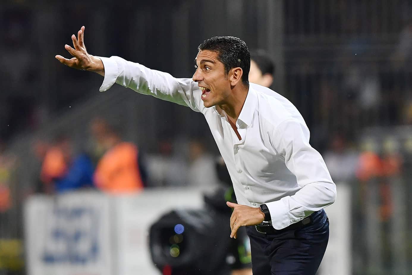 Probabili formazioni Frosinone-Palermo: allo Stirpe si decide l’ultimo posto in A