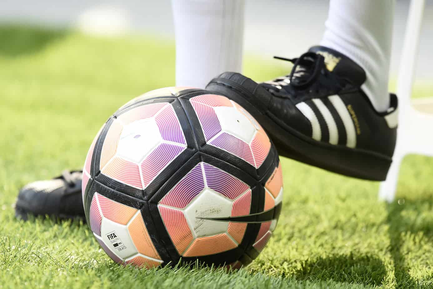 Pronostico Bologna-Spal 19 agosto: le quote del match
