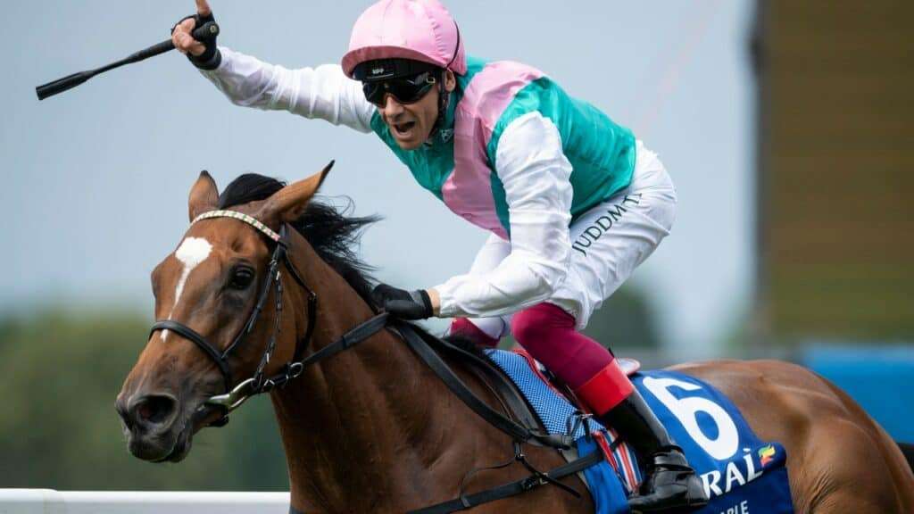 Lanfranco Dettori, cavallo galoppo