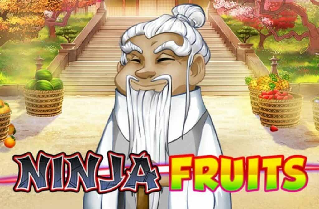 Ninja Fruits Slot