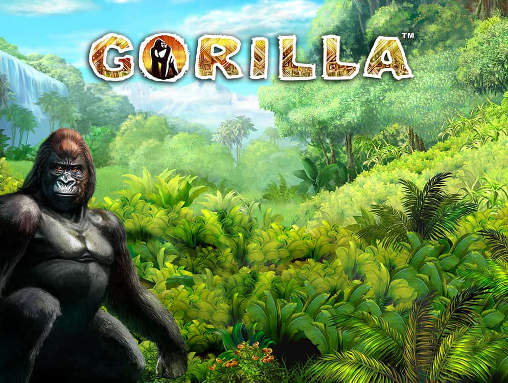 Gorilla slot machine