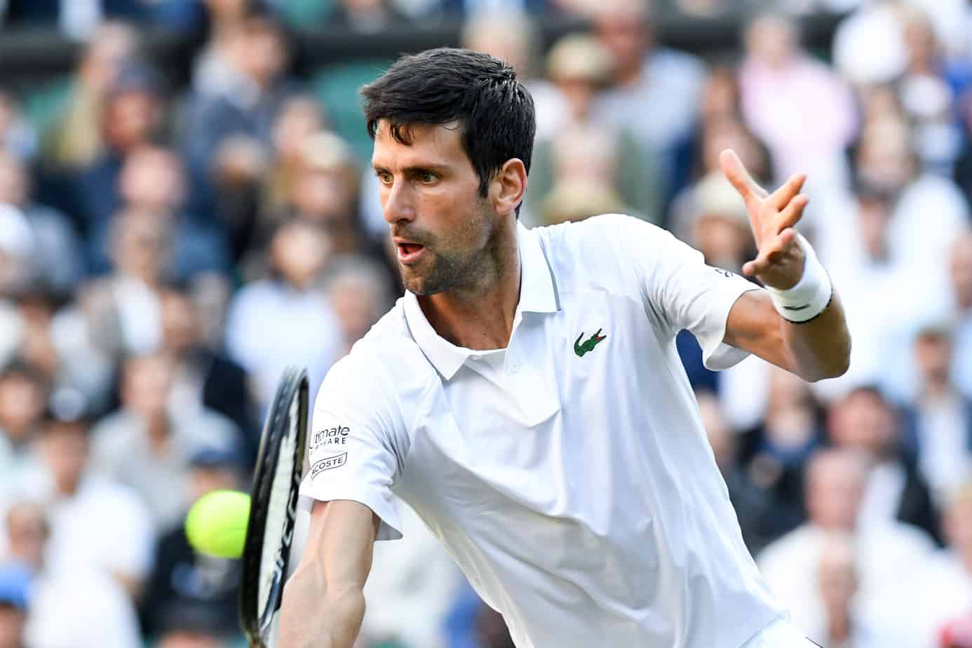 Dove vedere in streaming Thiem-Djokovic | finale Australian Open 2 Febbraio 2020