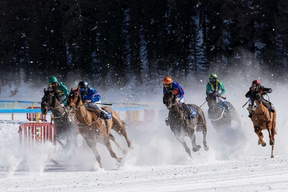 Scommesse Corse Cavalli Online: lista migliori Bookmakers