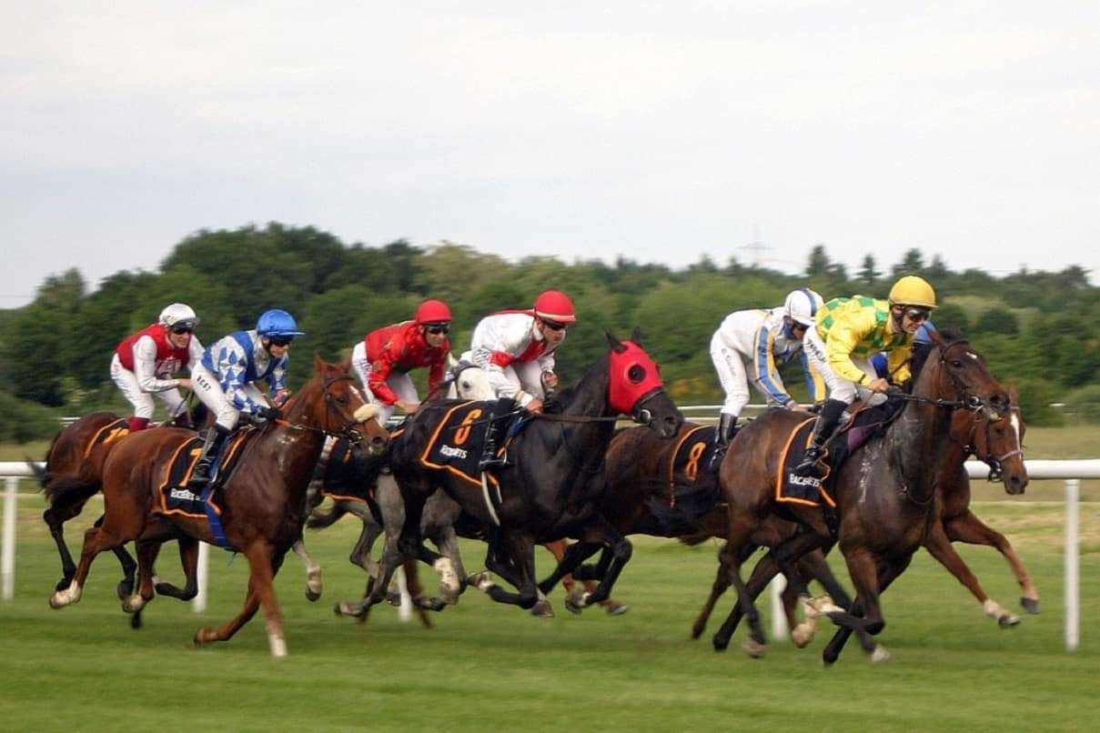 Pronostici Ippica: Consigli e Dritte per Vincere le Scommesse sui Cavalli
