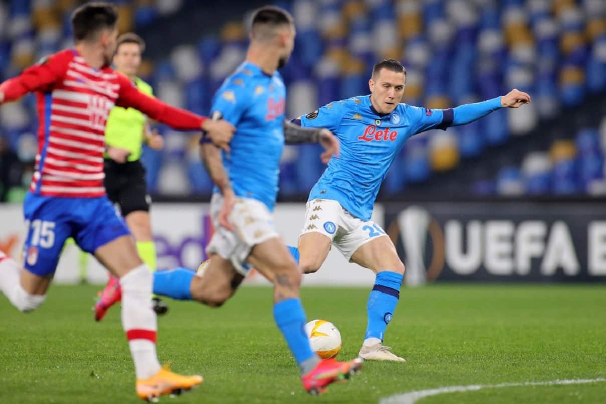 Sistema Scommesse al Trotto: come funziona e come vincere