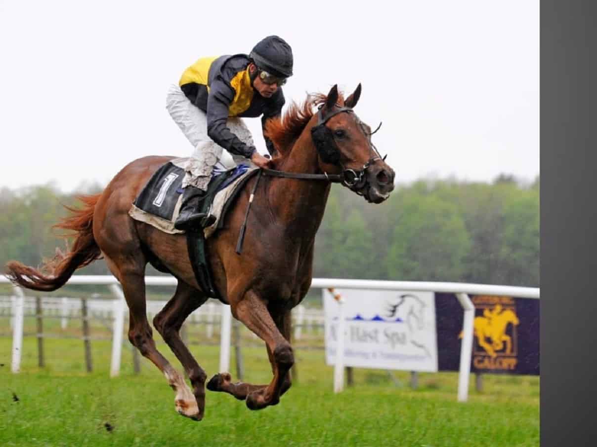 Bookmakers Non Aams per l’Ippica: i migliori online per scommettere