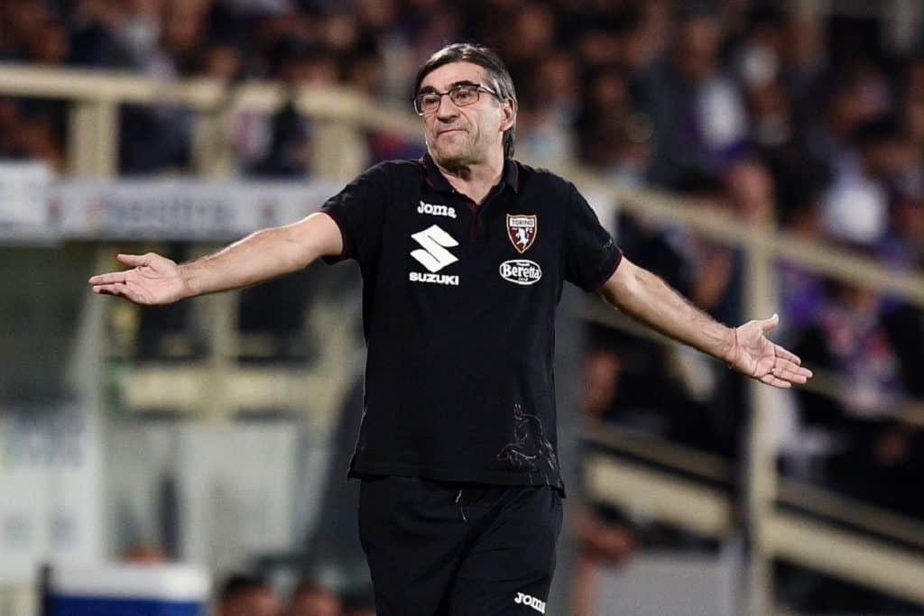 Ivan Juric, allenatore Torino