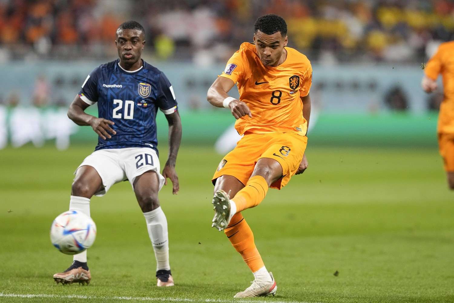 Risultato Esatto Olanda-Qatar, Quote Scommesse Mondiali 2022