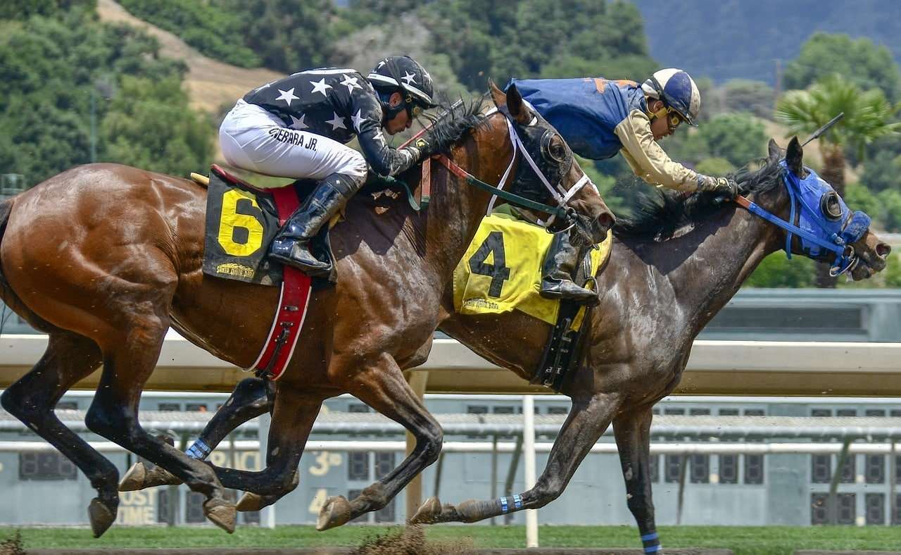 Scommesse ippiche live: come vincere in tempo reale