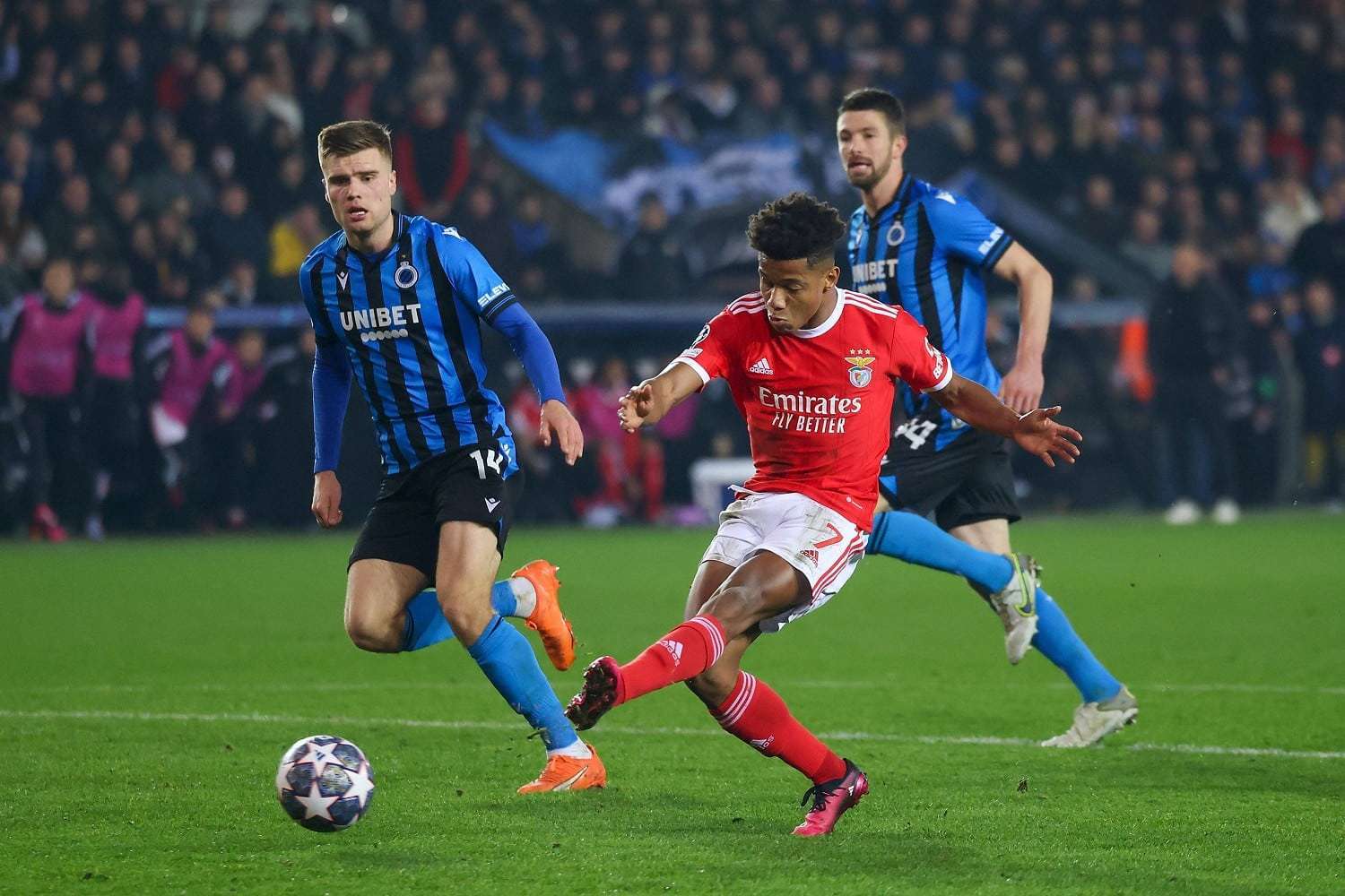 Risultato Esatto Benfica-Club Brugge, Quote Scommesse Champions League 2022/23