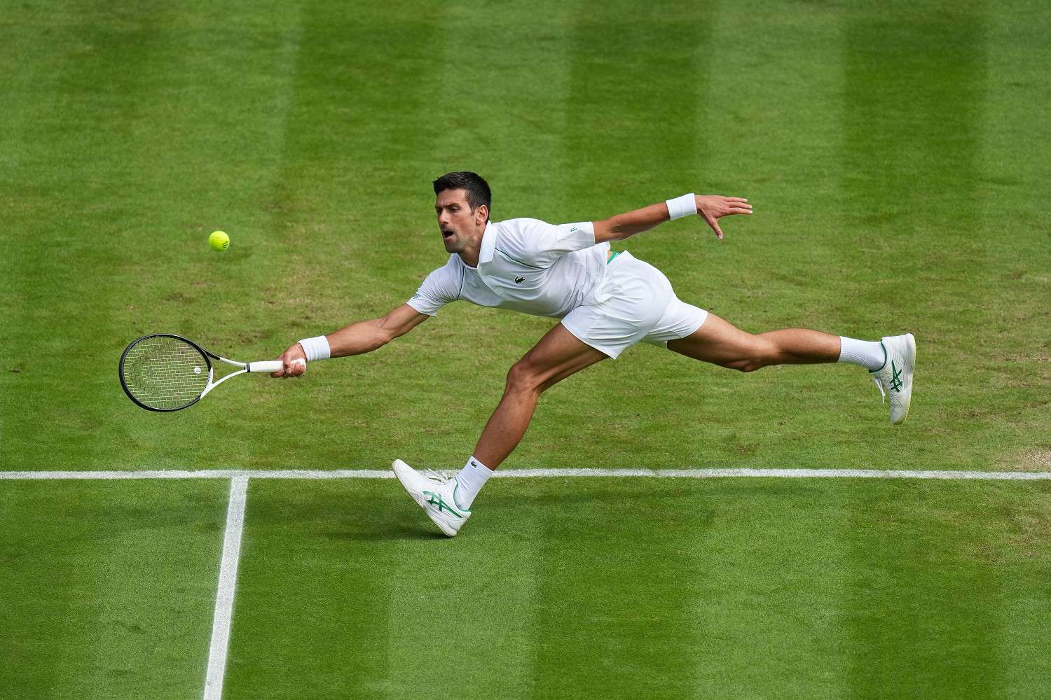 Quote Vincente Wimbledon 2023: calendario, favoriti e outsiders