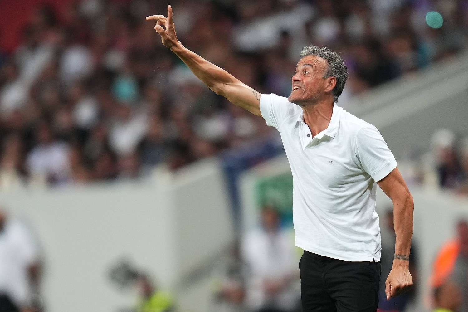Probabili formazioni Le Mans-PSG: Ottavi Coppa di Francia 2025